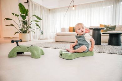 Scoot & Ride, My First, ewolucyjny jeździk, pchacz, 3w1, Olive, 6 m+