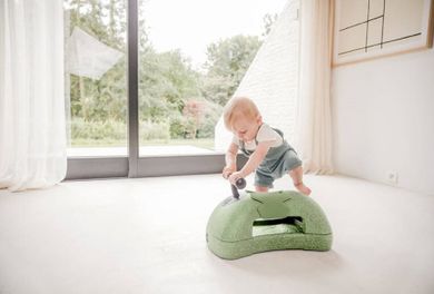 Scoot & Ride, My First, ewolucyjny jeździk, pchacz, 3w1, Olive, 6 m+