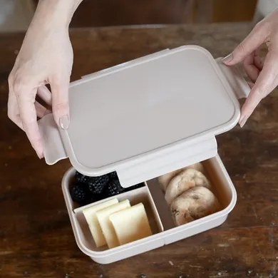 3 Sprouts, Bento, lunchbox, Taupe