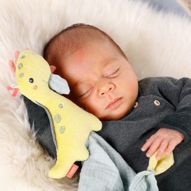 BabyFehn, Wesoły Dinozaur, pierwsza przytulanka