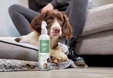 Dew Pet Care, środek do pielęgnacji jamy ustnej dla zwierząt, 2,5l