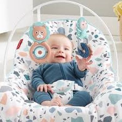 Fisher-Price, Terazzo, fotelik niemowlęcy, 0-18 kg