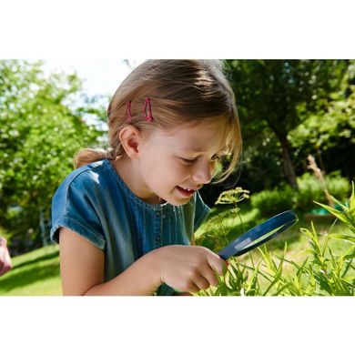 Haba, Terra Kids, lupa