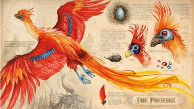 Harry Potter. Tom 2. Harry Potter i Komnata Tajemnic