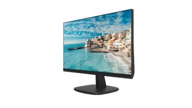 Hikvision, monitor, DS-D5024FN/EU