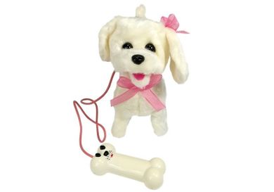 Lean Toys, pudel na smyczy, piesek na pilot, biały