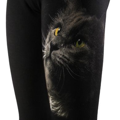 Legginsy dziewczęce, ocieplane, czarne, kot, Tup Tup