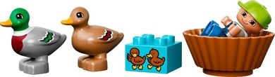 LEGO DUPLO, Kaczki, 10581