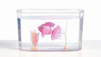 Little Live Pets, Rybka w akwarium, interaktywna zabawka do wody