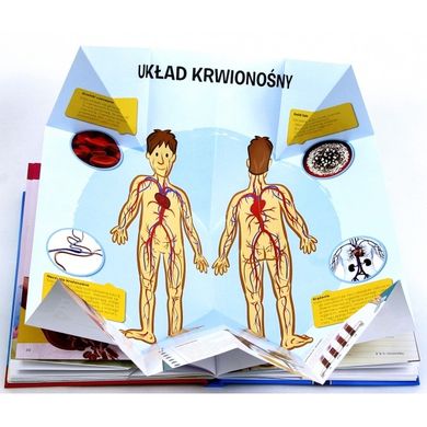 Mój pierwszy atlas anatomiczny. Ludzkie ciało