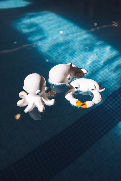 Oli & Carol X BigStuffed, gryzak i zabawka do kąpieli, Ośmiornica