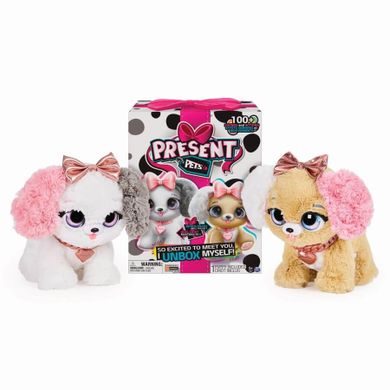 Present Pets, Fancy, Pięknotka, piesek interaktywny