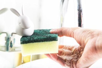 Qualy, Królik Bunny, uchwyt na gąbkę, biały