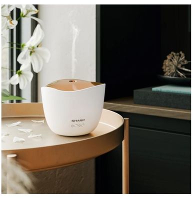Sharp, aromatyzer powietrza, DF-A1E-W