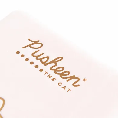 St.Majewski, Pusheen, notes pluszowy, różowy, linia, A5