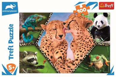 Trefl, Animal Planet, Piękno natury, puzzle, 100 elementów
