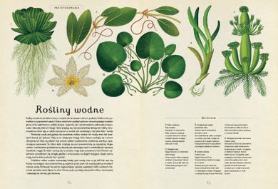 Botanicum