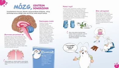 Było sobie życie. Mini encyklopedia + DVD