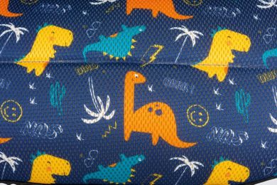 Chicco, Ohlala, wózek spacerowy, Dino Derby