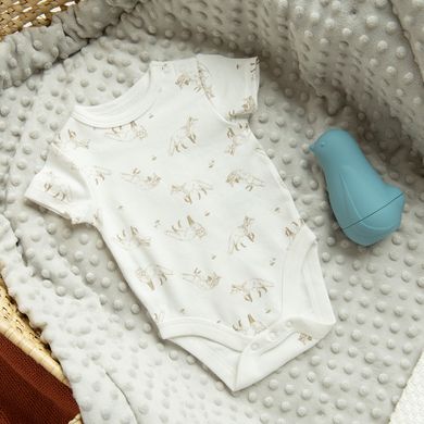 Cool Club, Body chłopięce z krótkim rękawem, mix, zestaw, 3 szt.