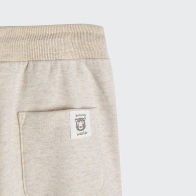 Cool Club, Spodnie dresowe chłopięce, slim fit, beżowe