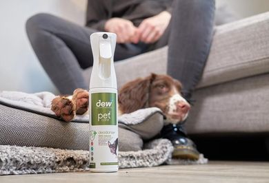 Dew Pet Care, dezodorant dla zwierząt, neutralizator powietrza, 2,5l