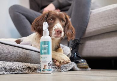 Dew Pet Care, środek do pielęgnacji ran dla zwierząt, 2,5l