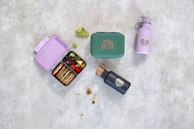 Lassig, Little Gang, lunchbox ze stali nierdzewnej, Rainbow Green