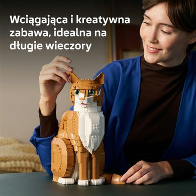 LEGO Ideas, Rudy kot, 21376