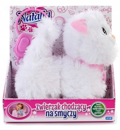Natalia, kotek chodzący na smyczy, biały