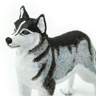 Safari Ltd, figurka, pies husky syberyjski