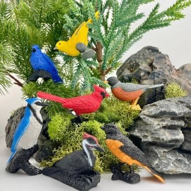 Safari Ltd, Toob, zestaw figurek, ptaki ogrodowe