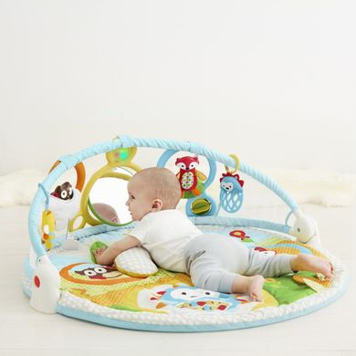 Skip Hop, Explore and More, Amazing Arch, mata edukacyjna