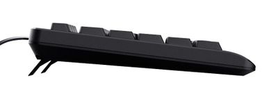 Trust, klawiatura, Trust TK, 150 Keyboard US