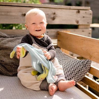 BabyFehn, Wesoły Dinozaur, pierwsza przytulanka