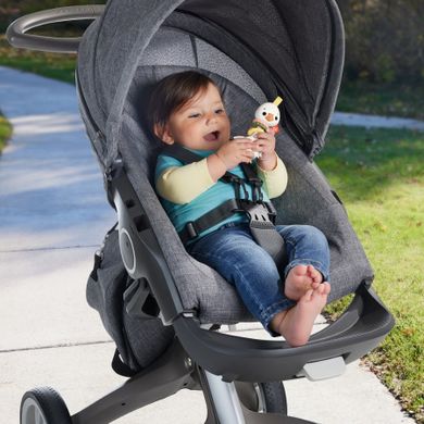 Fisher-Price, Grzechotka gryzaczek, Gąska, zabawka niemowlęca