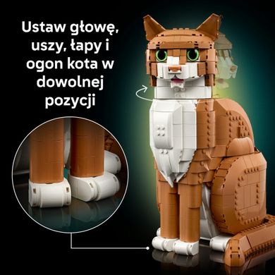 LEGO Ideas, Rudy kot, 21376