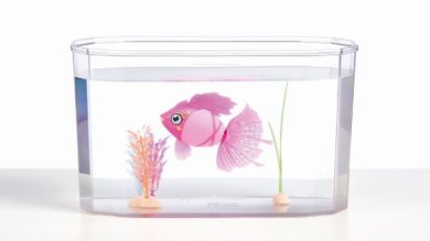Little Live Pets, Rybka w akwarium, zabawka interaktywna