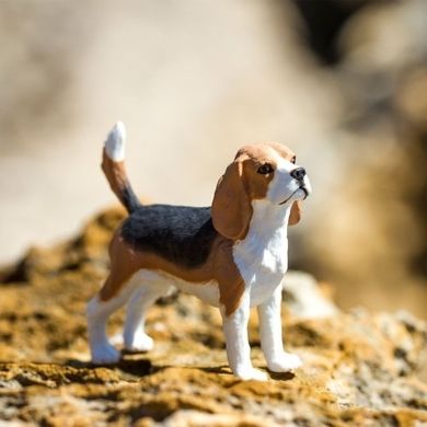 Safari Ltd, figurka, pies beagle