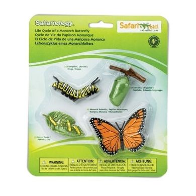 Safari Ltd, zestaw figurek, cykl życia motyla
