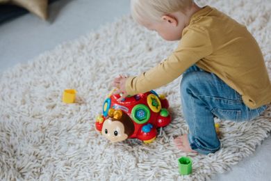 Vtech, Roztańczone Biedroneczki, zabawka edukacyjna
