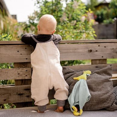 BabyFehn, Wesoły Dinozaur, pierwsza przytulanka