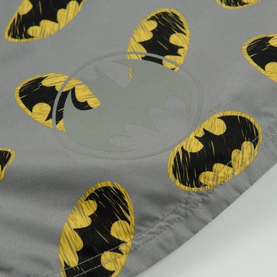 Cool Club, Kurtka chłopięca z kapturem, szara, Batman