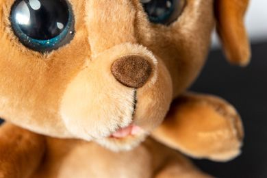 Cry Pets, U weterynarza, maskotka interaktywna