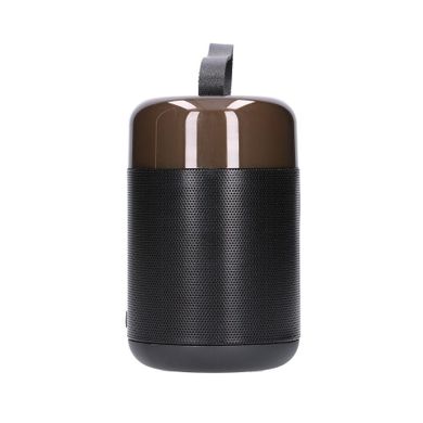 Extralink Kids Karaoke LED Speaker, zestaw do karaoke, 1 mikrofon, czarny