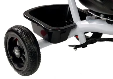 Lean Toys, rowerek trójkołowy, czarny, pro300