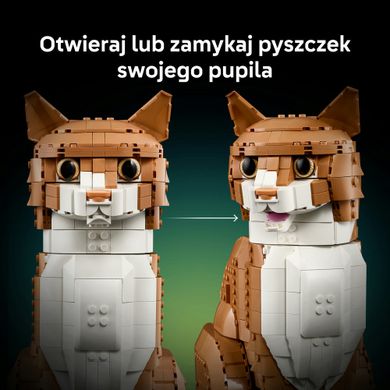 LEGO Ideas, Rudy kot, 21376