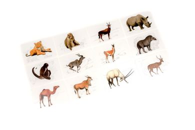 Lucrum Games, Czy wiesz, który zwierz...? Kieszonkowa fauna Afryki i Azji, gra edukacyjna