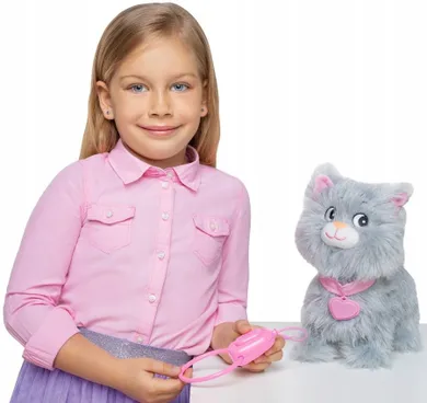 Natalia, kotek chodzący na smyczy, szary