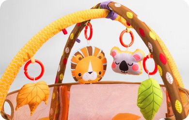 Ricokids, Lew, mata edukacyjna oraz 30 kolorowych piłeczek